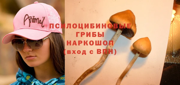 стафф Лихославль