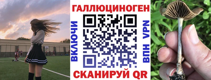 Псилоцибиновые грибы мицелий  Купить где  Богородицк 